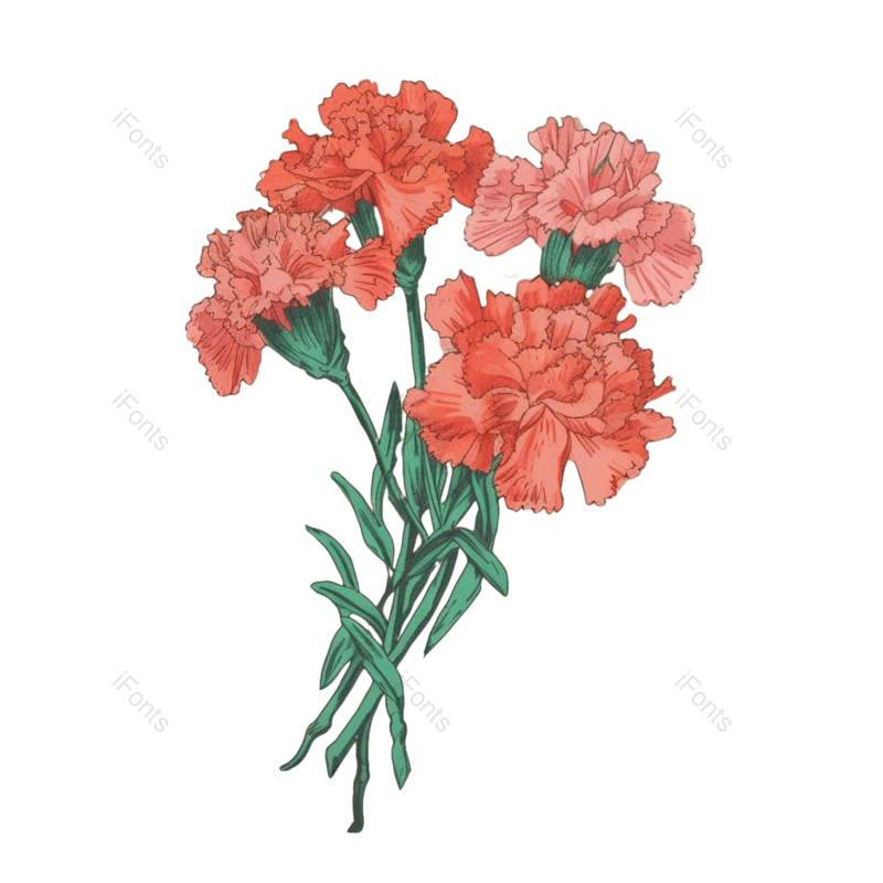 花朵背景图片,花朵素材元素,花朵边框PNG,免抠素材